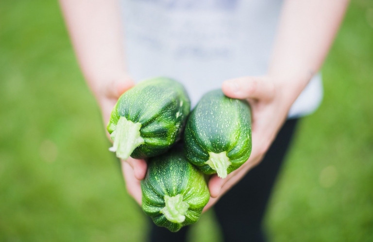 zucchinis 1869941 1280 768x499
